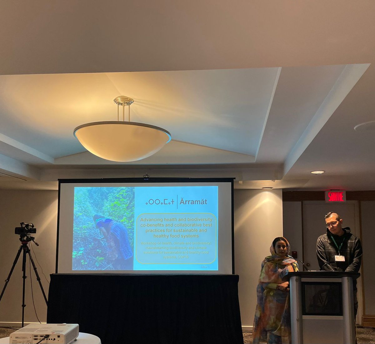ArramatProject's tweet photo. @MAboubakrine &amp; @UofAALES student Robbie Potts were invited to speak at the @pahowho side event today! We're looking forward to continuing to highlight our project this week at #COP15!
🌿
#ArramatProject #Arramat #Biodiversity #IndigenousKnowledge #Indigenous #Health https://t.co/QuyYe0kKla