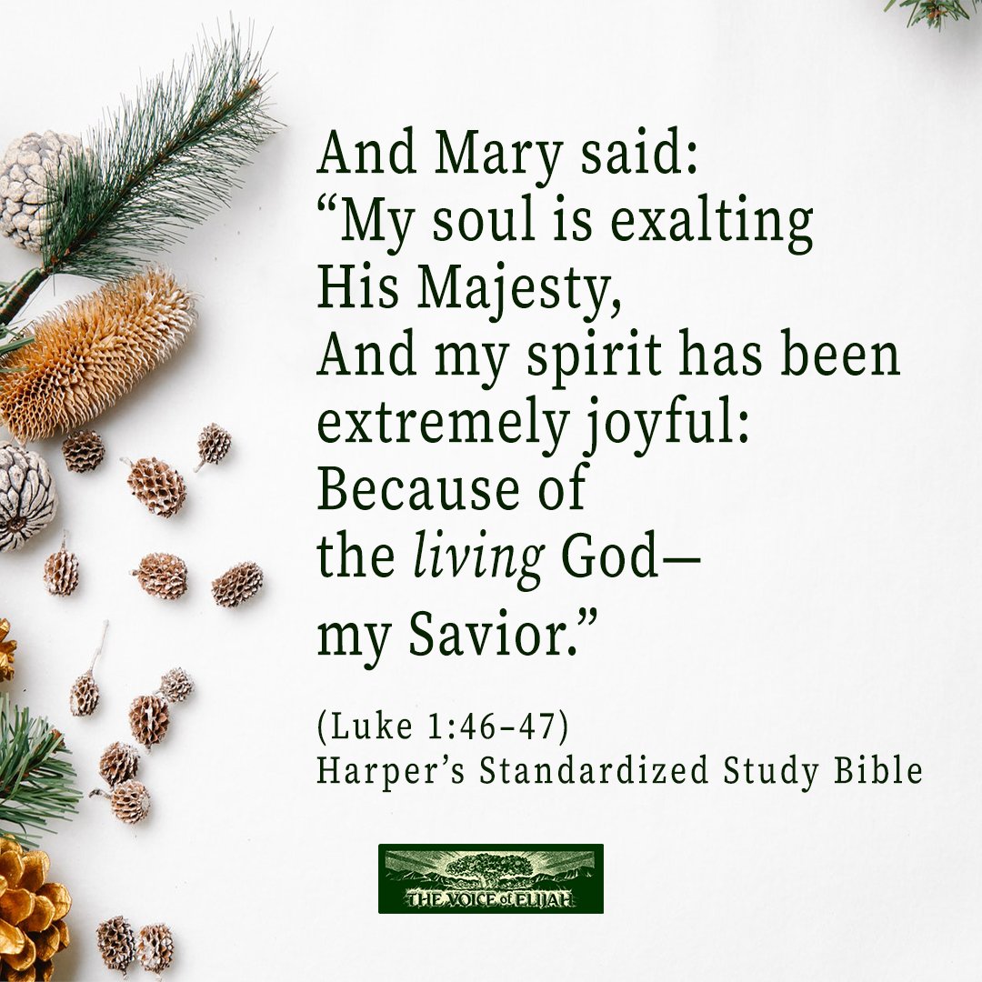 voiceofelijah's tweet photo. https://t.co/mf8ZRhikeI
#BookofLuke #Scripture #RestoringTheTruth https://t.co/JoYBDyp5xX