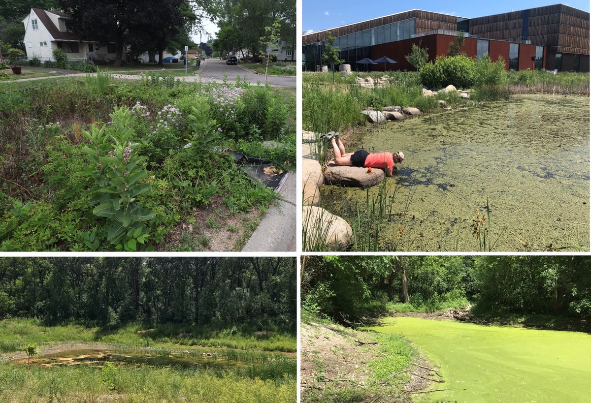 Post-doc in urban aquatic ecotoxicology. Collaborative project on movement of lead and urban contaminants through urban water systems and mitigation with green infrastructure. Apply by Jan 31st. <a href="/MSP_LTER/">MSP-LTER</a> mspurbanlter.umn.edu/about-msp-lter…