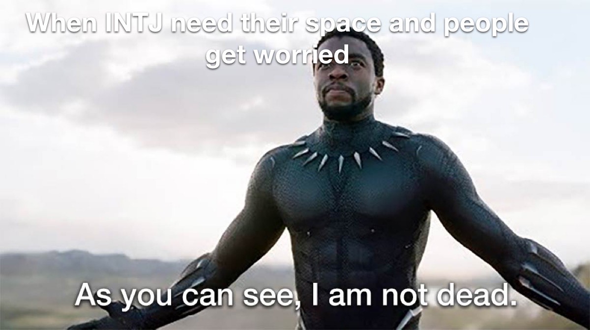 INTJloves's tweet photo. Finally found a place where I fit in! #intjspace #comejoinus #intjpersonality #intjproblems #introvert #mbti #needingspace #thinkers https://t.co/A7SLgB7tuv