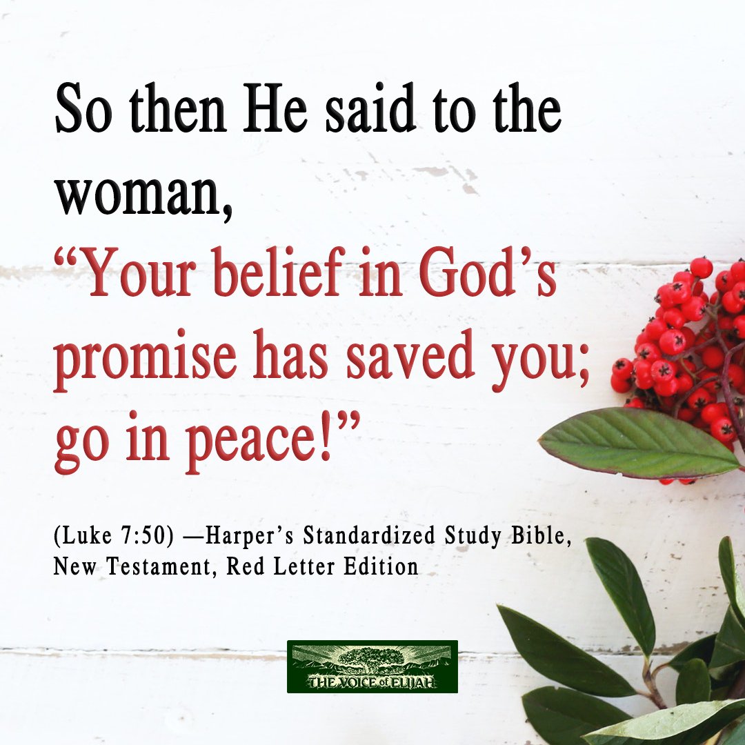 voiceofelijah's tweet photo. https://t.co/mf8ZRhzVDi
#BookOfLuke #Luke7v50 #Luke8v10 #TheVoiceOfElijah #RestoringTheTruth https://t.co/BNiUY9srAF