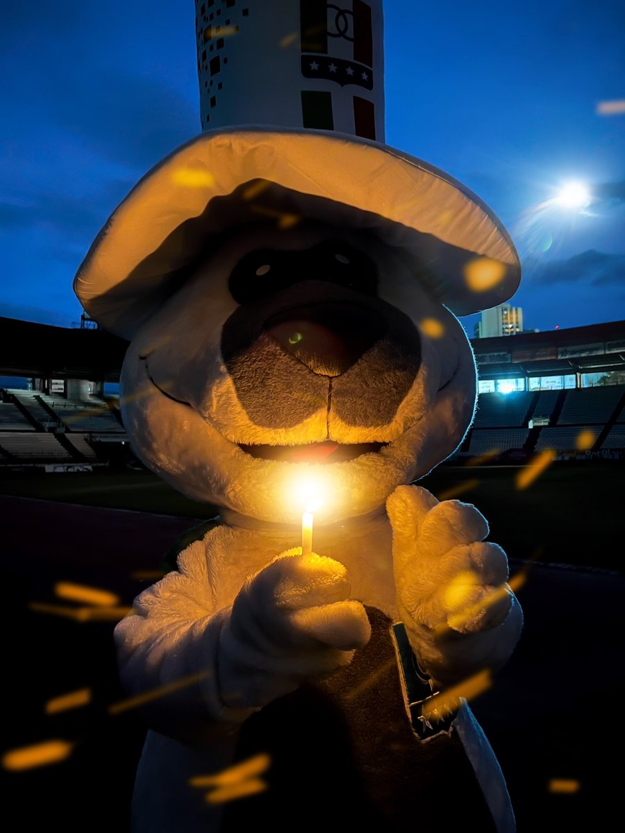 Tengo solo un sueño, donde todos celebramos 🕯️⚽🤍 #VamosOnce 🇮🇹