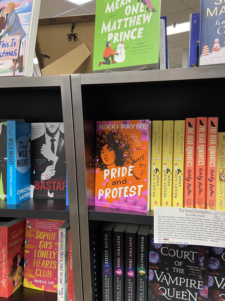 lifebreakingin's tweet photo. #PrideAndProtest looking fabulous on the shelf at Mysterious Galaxy🔥✨ https://t.co/rHg12XQN4I