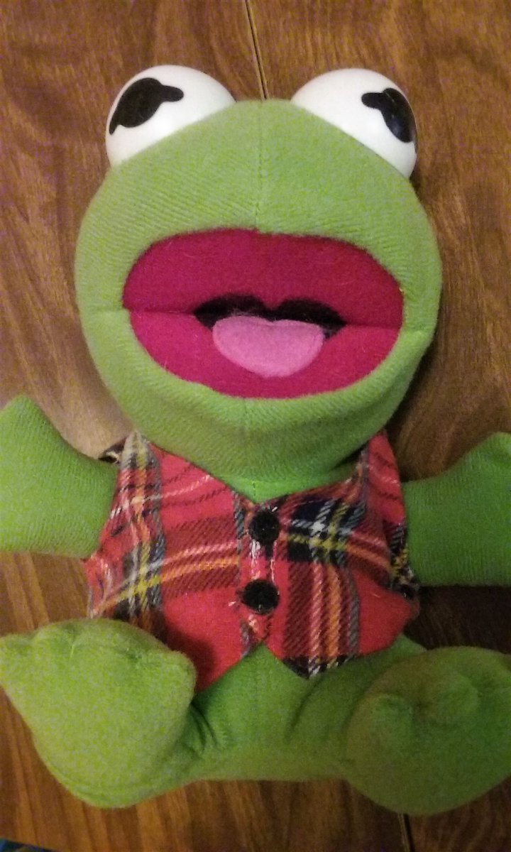 MadamSarcastra's tweet photo. I do! 😁 In fact, I managed to find & clean up my old #BabyKermit 💚
#Muppets #MuppetBabies #Kermit https://t.co/Ywj2auL6un