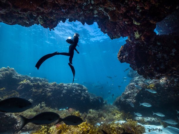 WestAustralia's tweet photo. Ryan + Nush from Shipwreck Hunters Australia share their top 6 snorkelling spots to interact with marine life in #WAtheDreamState 🤿 https://t.co/RgzBJgZINX https://t.co/xxO4Br8ATW