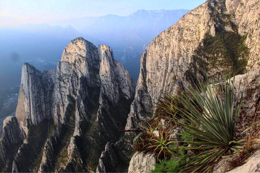 Juan Pablo Ortiz Brunel tweet media