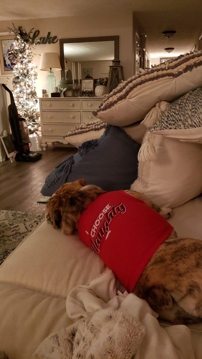 deniselynne1966's tweet photo. She didn't choose the naughty life...the naughty life chose her🤣🐾 #pipergrace @jenmastropaolo Jim bought t for her. I thought it had a fur collar...it was a fat roll🤣🤣🤣
@jamielynne223 🐾❤🥰 https://t.co/7461tLxe6U