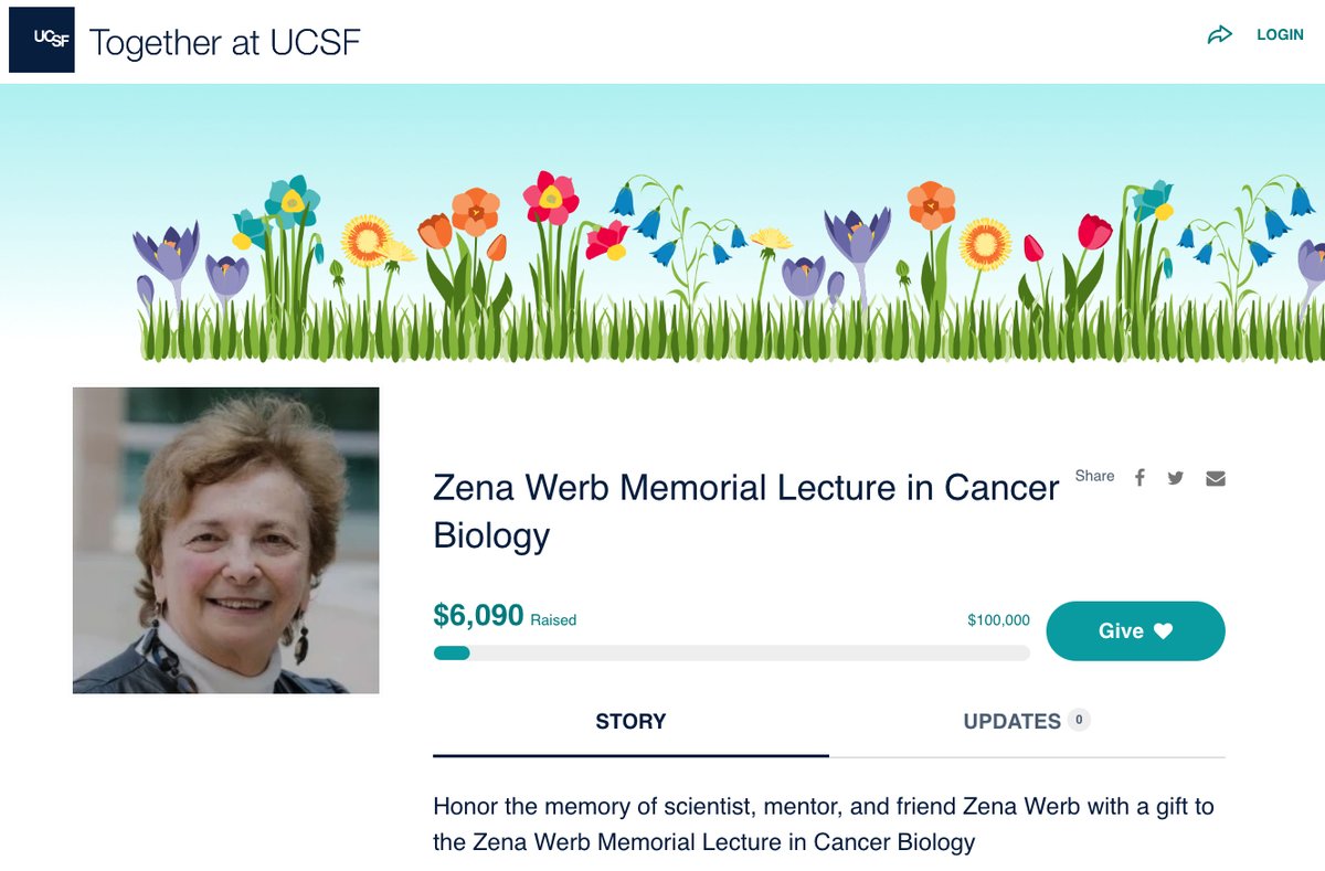 Please RT 🙏. Zena Werb was a dear friend, fantastic mentor, and amazing scientist @UCSF. We are doing a crowdfund campaign for an annual Zena Werb Memorial Lecture in #Cancer Biology. Please consider a donation. For info: givingtogether.ucsf.edu/fundraiser/426…