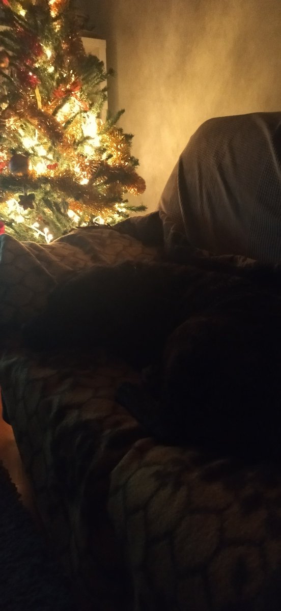 Já vos disse q até ressona?