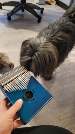 He is suspicious of this strange item. https://t.co/EErapXfdyQ