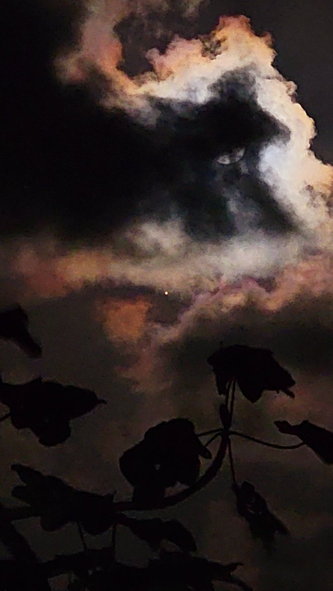 Hermosa luna y su Lucero de acompañante.<a href="/WindmarMom/">WindmarMom</a> <a href="/rcortestv2/">Roberto Cortes T2</a> <a href="/DeborahTiempo/">Deborah Martorell</a> <a href="/EliRobainaTV/">Elizabeth Robaina</a> <a href="/adamonzon/">Ada Monzón</a> <a href="/zamiratv/">Zamira Mendoza</a>