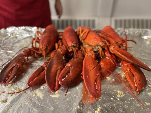 Everest Curling tweet media