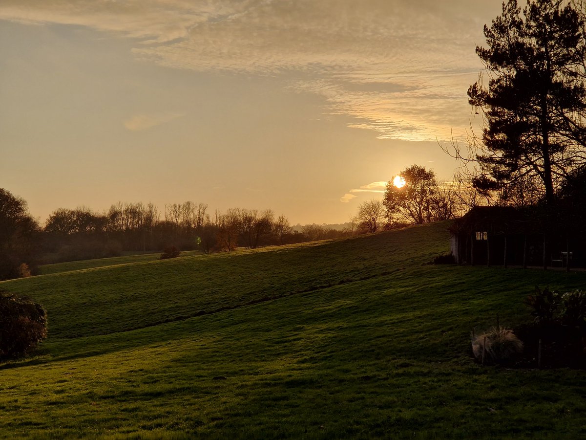 Late afternoon light