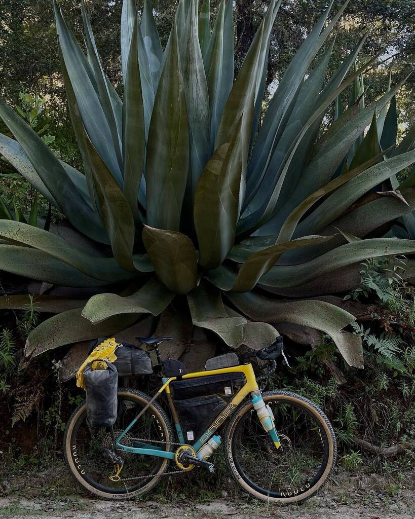 Rodeo Adventure Labs tweet media