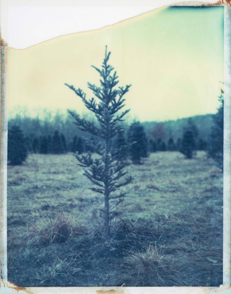 canned_hamm's tweet photo. Polaroid 669 expired 2005
Polaroid 180 Land Camera
#polaroid #expiredfilm #landcamera #landscape #filmisnotdead #ChristmasTree https://t.co/m0rmUXC3Ig