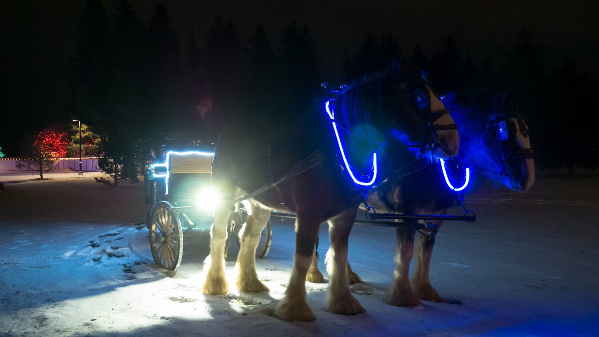 We still have tickets available for our Basha Nori [Horse &amp; Wagon Rides] for tomorrow night! Kids 5 &amp; Under ride for free! Get your tickets here: bashanori.eventbrite.ca or in the Bunka Centre on arrival. 🐴❄️