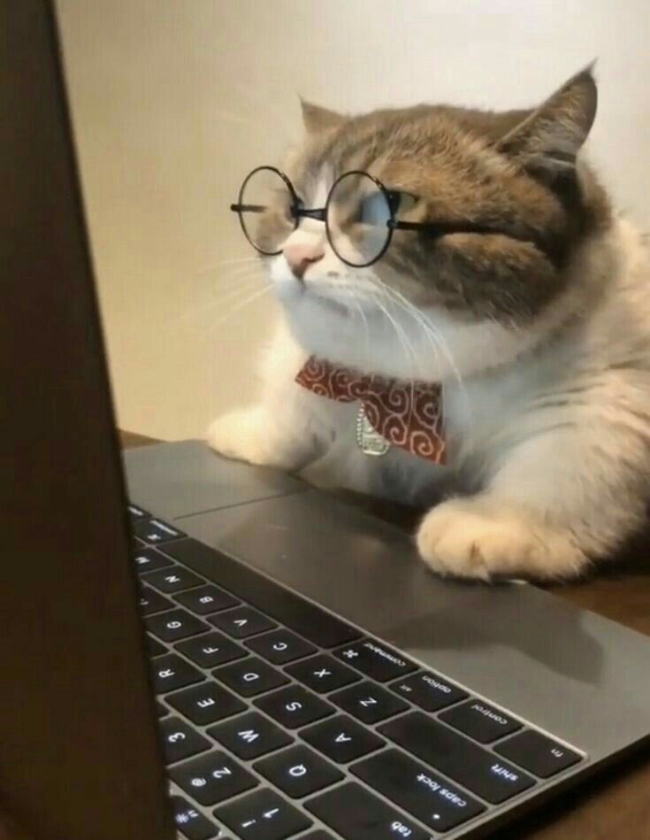 comité subterráneo tweet media