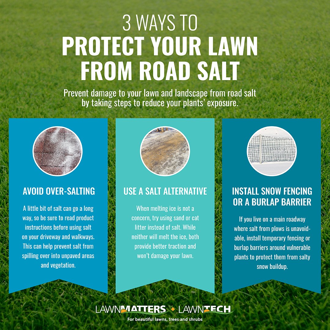 How to protect your lawn from road salt: