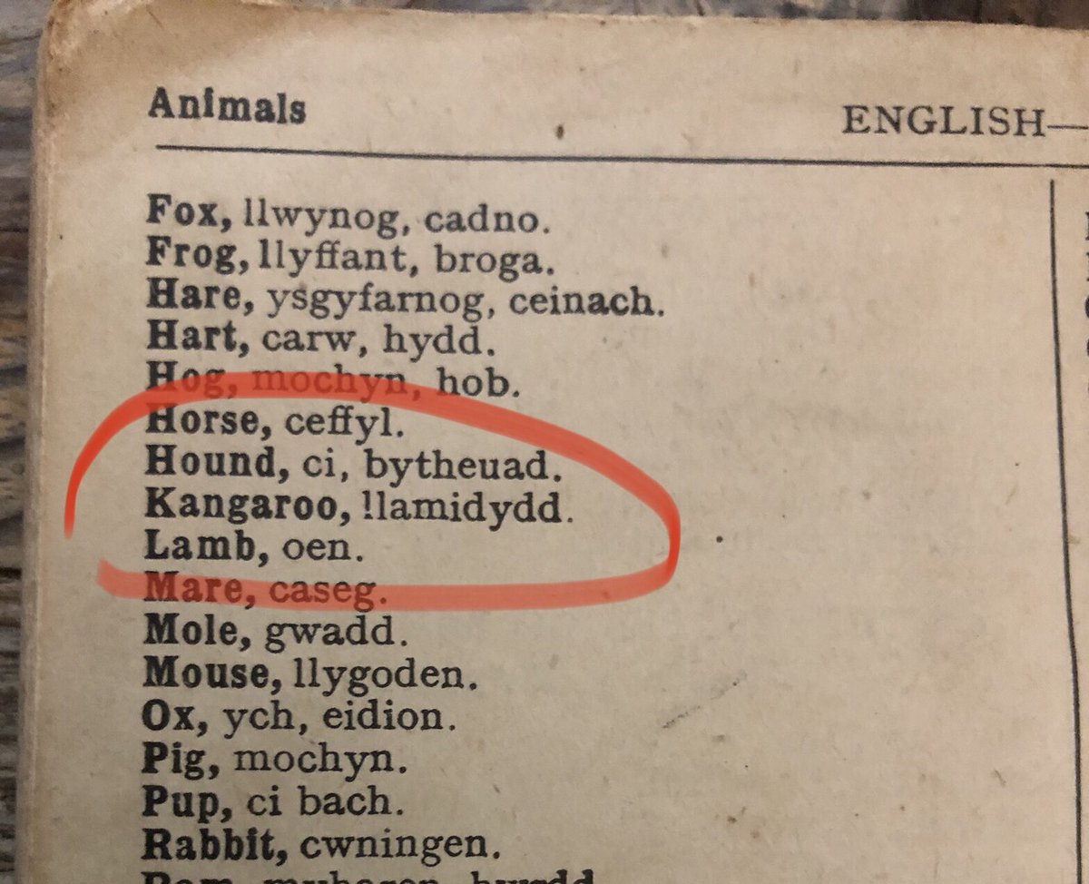 MeiMacHuws's tweet photo. Llamhidydd i mi erioed ydi dolffin (neu ‘porpoise’ Saesneg). Dyna ddwêd Geiriadur y Brifysgol hefyd. Ond mewn hen eiriadur i blant o 1942 ‘llamidydd’ ydi ‘kangaroo’! #difyr https://t.co/pxVH1Ephxb