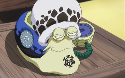 Law's snail is high AF. The drip is there #ONEPIECE #anime