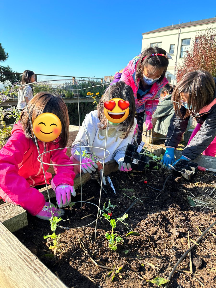 West Portal Elementary Garden tweet media