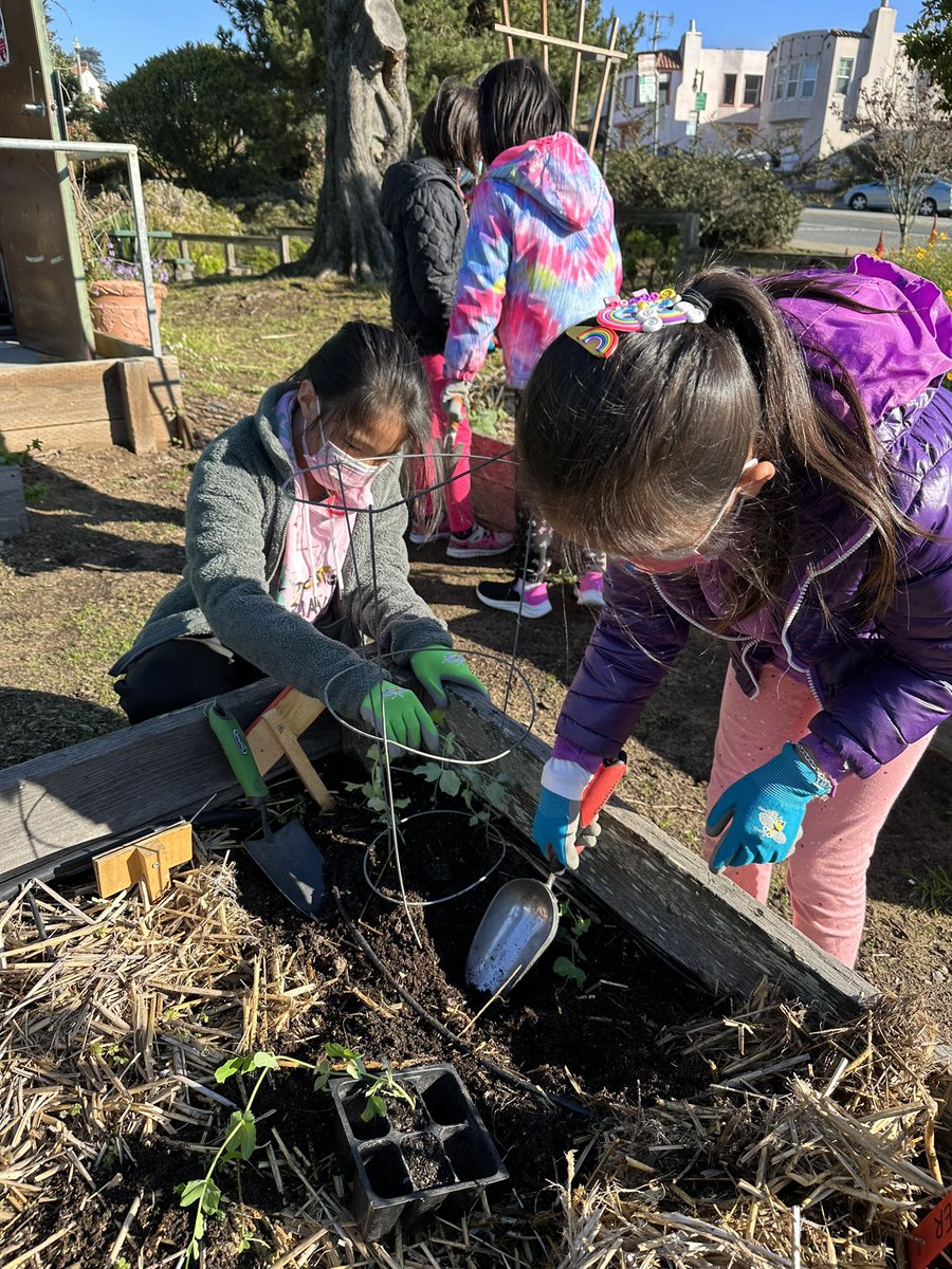 West Portal Elementary Garden tweet media