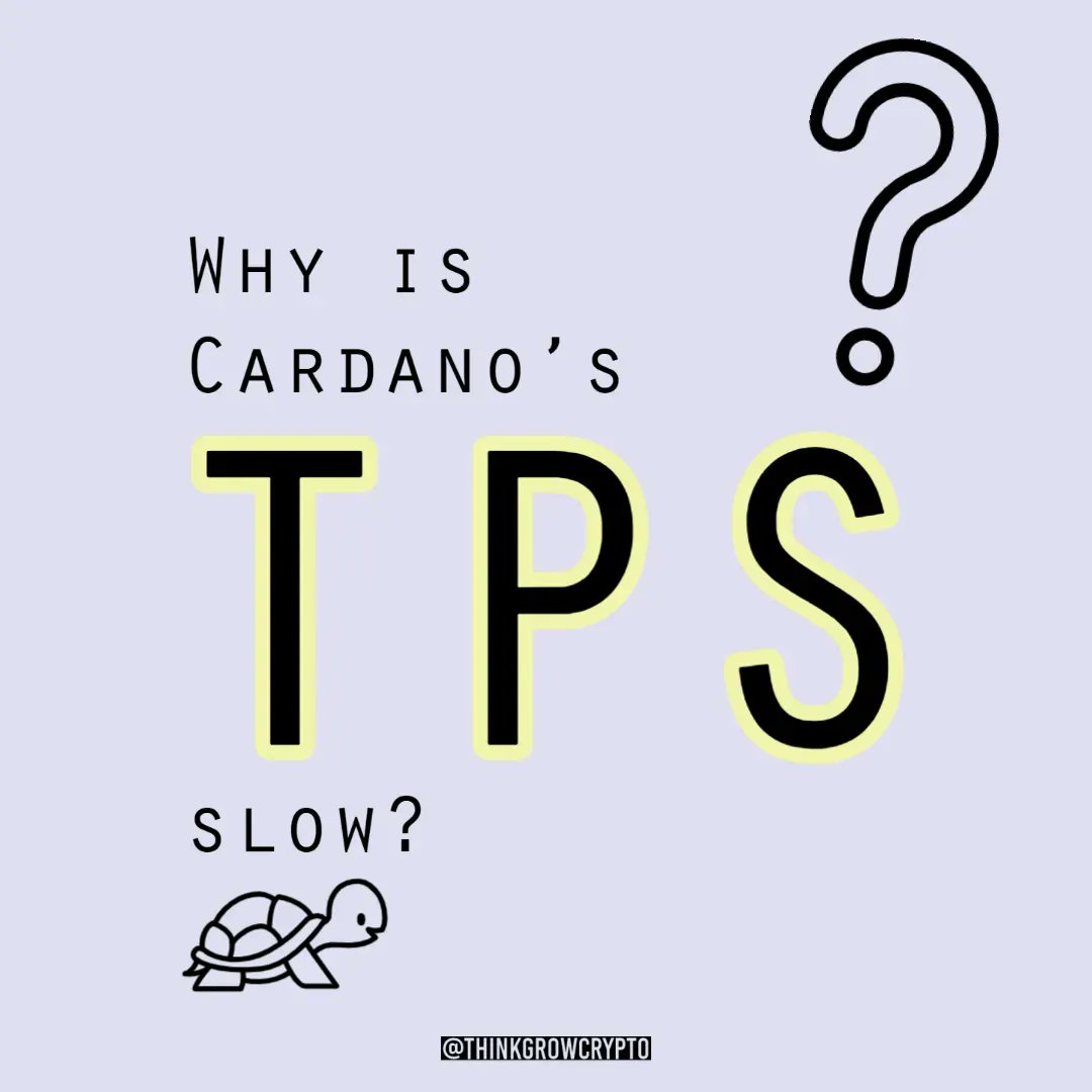 Jami Safari tweet media