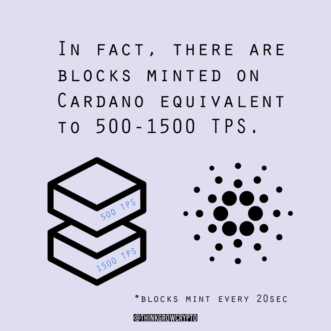 Jami Safari tweet media