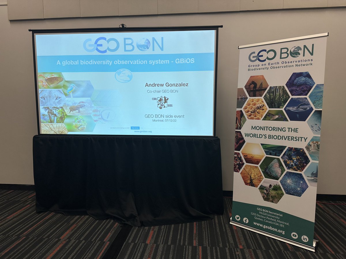 GEOBON_org's tweet photo. 🚨 #HappeningNow at @CBD_COP15
Side event on the implementation of a Global Biodiversity Observing System #GBiOS for the post-2020 Global Biodiversity Framework to monitor biodiversity, track progress and guide policy & action.
����Room 513D https://t.co/Zug5Fop5jd