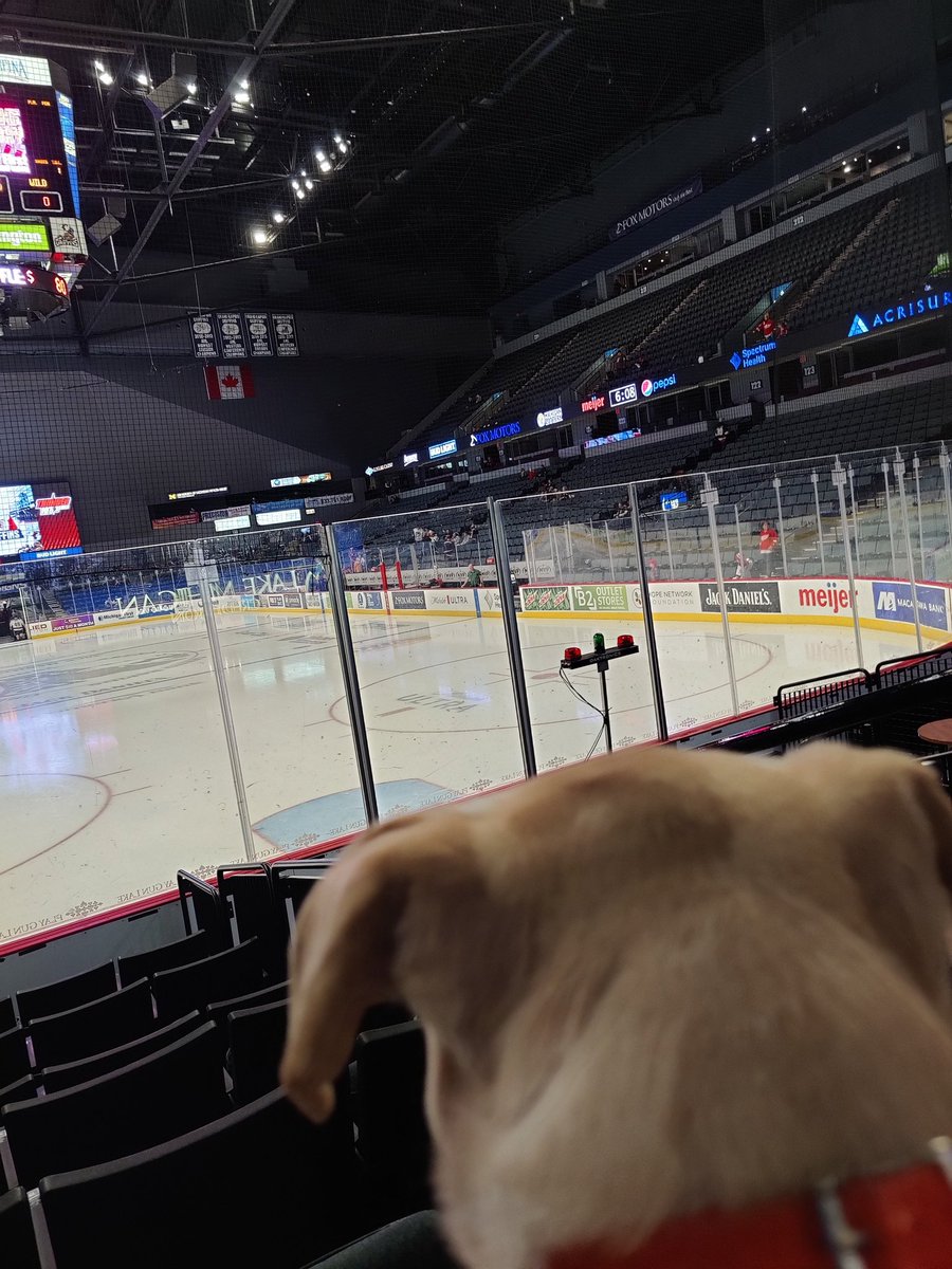 longleaf616's tweet photo. Where is everyone.....I want hockey....my humans are too early....now I have to wait

#gogrg #journeysofjohn #servicedog #veteranservicedog #hockeydog #griffinshockey #WinningWednesday https://t.co/gesGNqK3qw