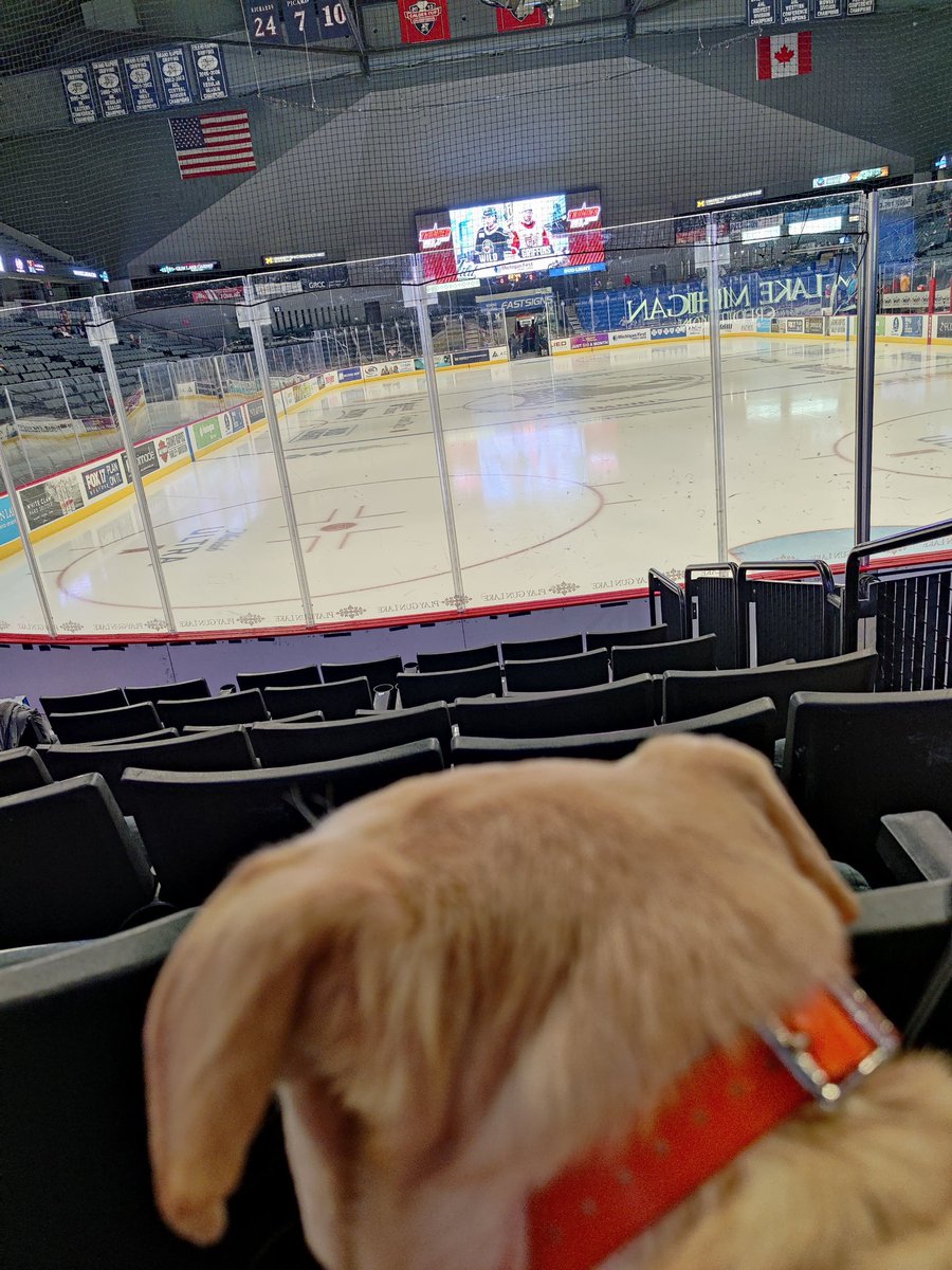 longleaf616's tweet photo. Where is everyone.....I want hockey....my humans are too early....now I have to wait

#gogrg #journeysofjohn #servicedog #veteranservicedog #hockeydog #griffinshockey #WinningWednesday https://t.co/gesGNqK3qw