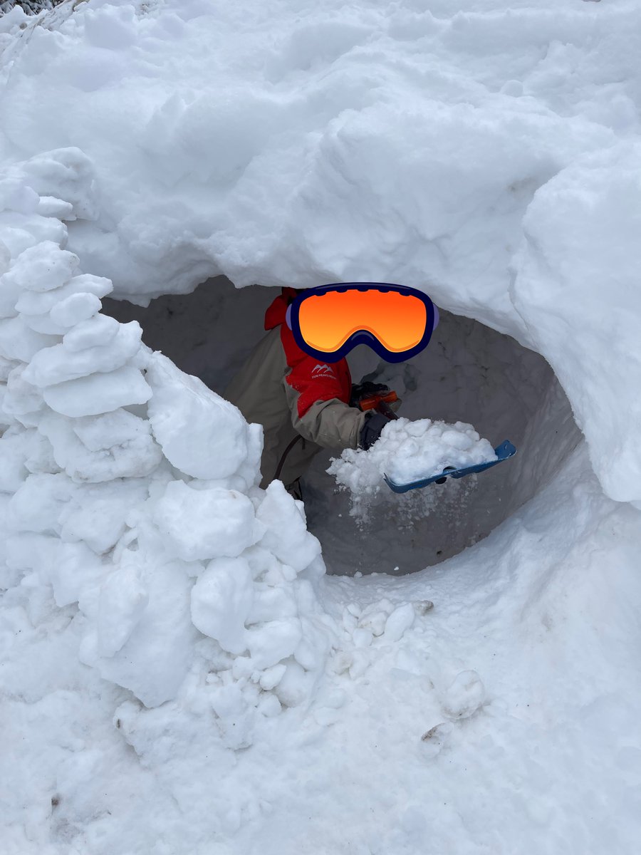 Curtis Wiebe tweet media