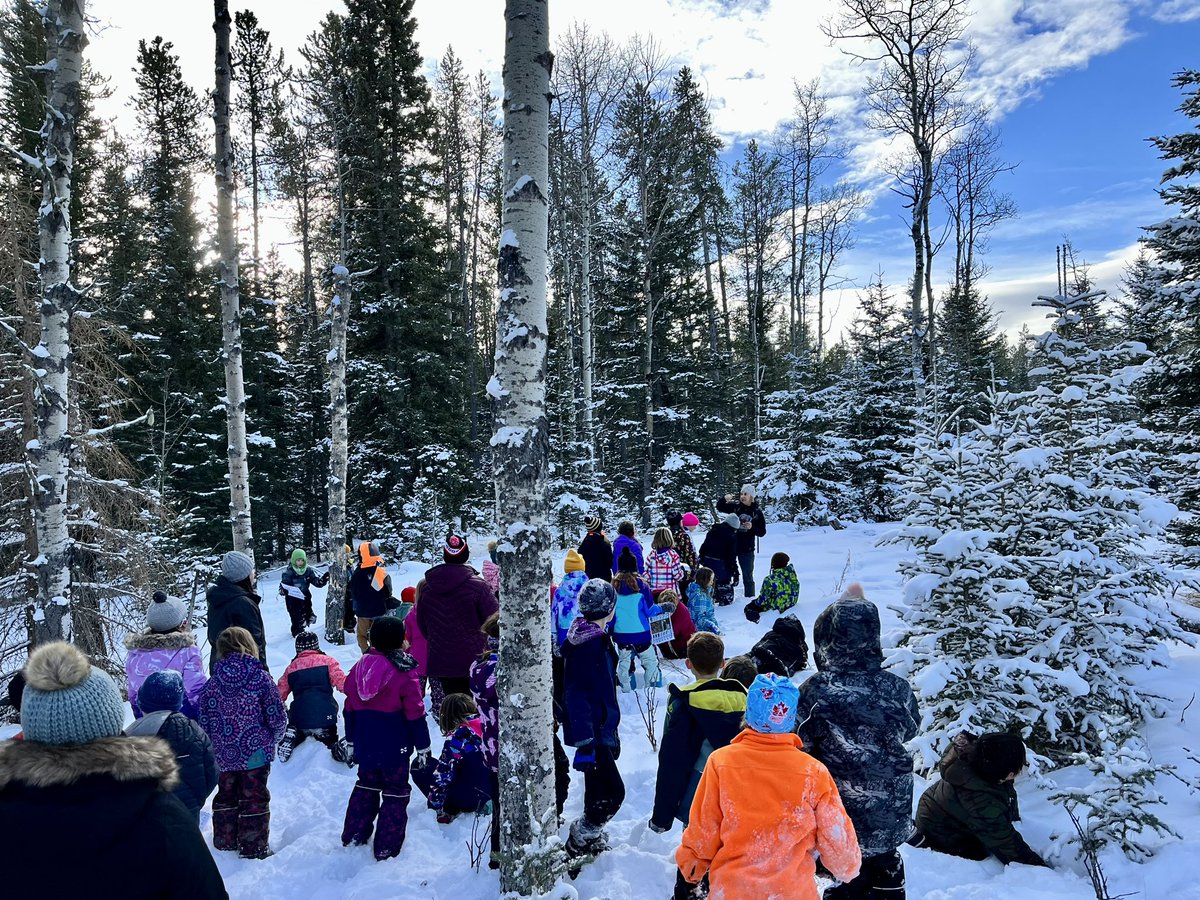 BodykErin's tweet photo. My Grade 4 class @RJHawkey had a blast visiting @bandedpeakrvs out in Bragg Creek today for our second school exchange! What a perfect day full of sledding, walks and talks through the forests, great temps, and learning all about the land 🌲🛷⛄️❄️ https://t.co/ZWSYZa3rI0