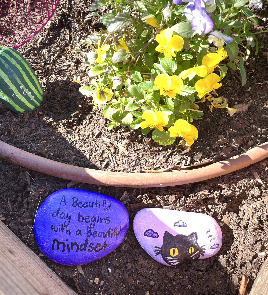 The ⁦<a href="/AEWrightMS/">A.E. Wright MS</a>⁩ garden and I were feeling some winter gloomies until we saw the surprise inspiration from Ms Dickson’s class. Have a beautiful day! ⁦<a href="/LVUSD/">LVUSD</a>⁩ ⁦<a href="/RyanLVUSD/">Ryan Gleason</a>⁩