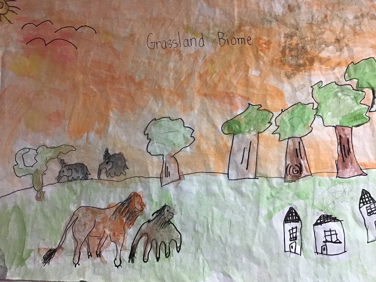 janeteacher2's tweet photo. Thinking about biomes of the world and the animals who inhabit #sd36learn #grade3science @rosemaryheights https://t.co/9C93sHT8ts