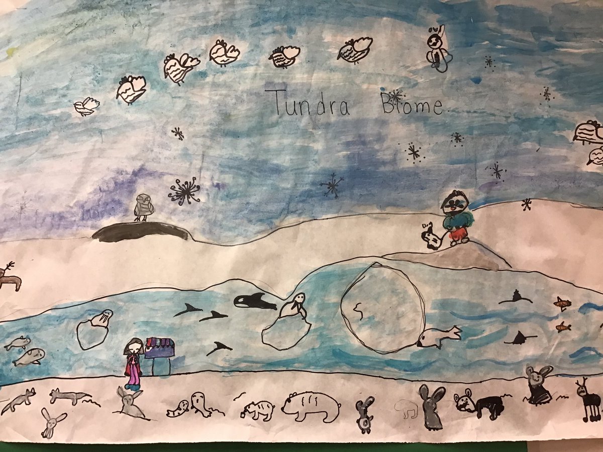 janeteacher2's tweet photo. Thinking about biomes of the world and the animals who inhabit #sd36learn #grade3science @rosemaryheights https://t.co/9C93sHT8ts