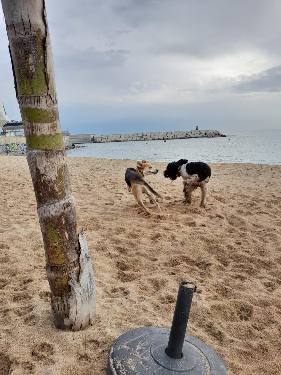 Jeroen (@drsjee) on Twitter photo 