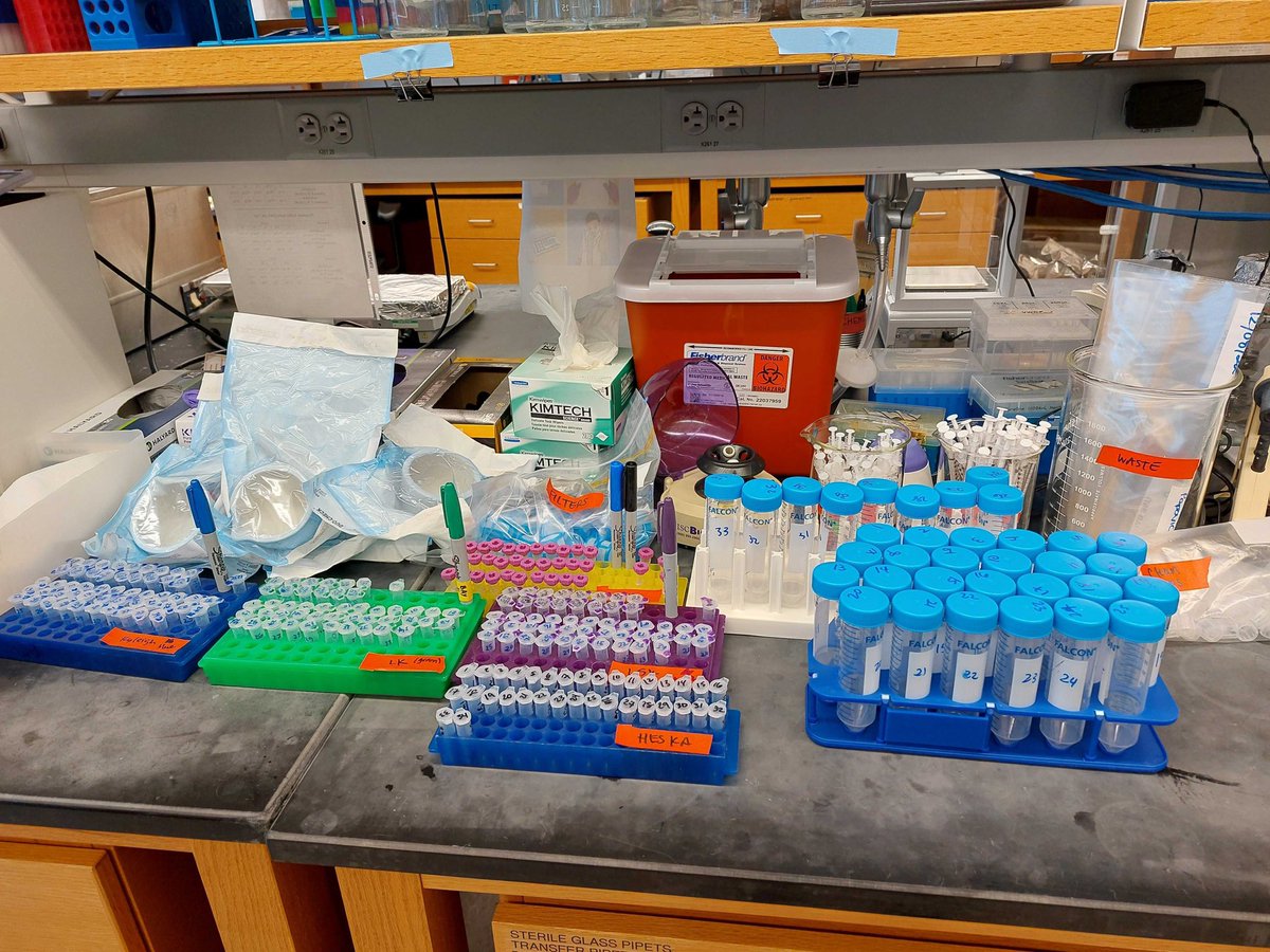 Kyleigh Rodgers (@rodgky) on Twitter photo Good #science starts with good prep. Busy week in the McPop lab ๐งซ ๐ฅผ ๐งช <a href="/McPopLab_OSU/">McPopLab @ Ohio State</a> <a href="/KA_Mifflin/">Katherine Mifflin</a> <a href="/Jodie30359081/">Jodie</a> Good #science starts with good prep. Busy week in the McPop lab ๐งซ ๐ฅผ ๐งช <a href="/McPopLab_OSU/">McPopLab @ Ohio State</a> <a href="/KA_Mifflin/">Katherine Mifflin</a> <a href="/Jodie30359081/">Jodie</a>