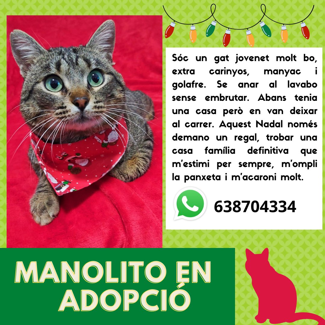 Feu difusió sisplau, es urgent que trobi una casa