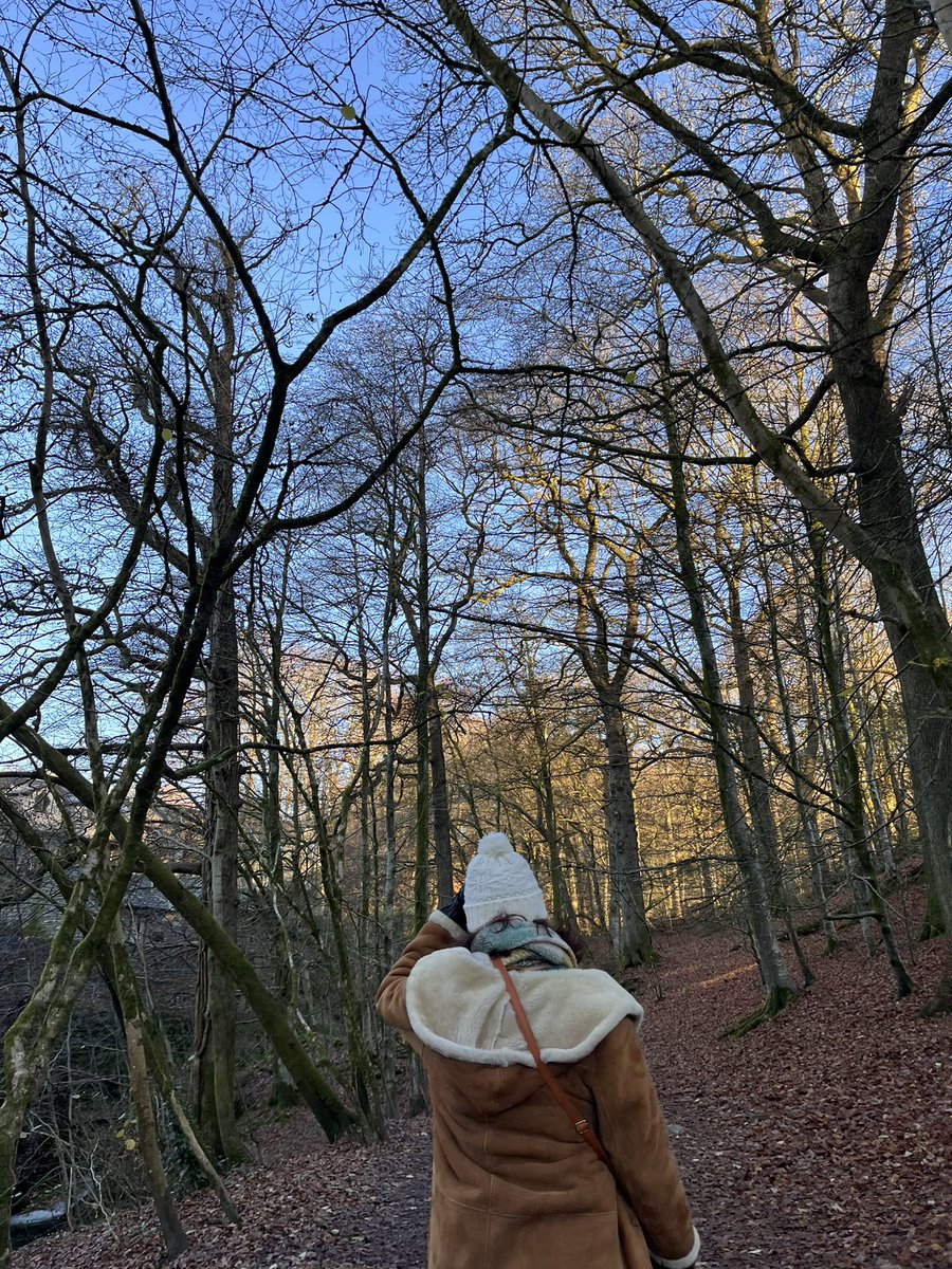 _itxaropena's tweet photo. Went to the lakes to cry and see the death poeths https://t.co/ZFsuSDw7as