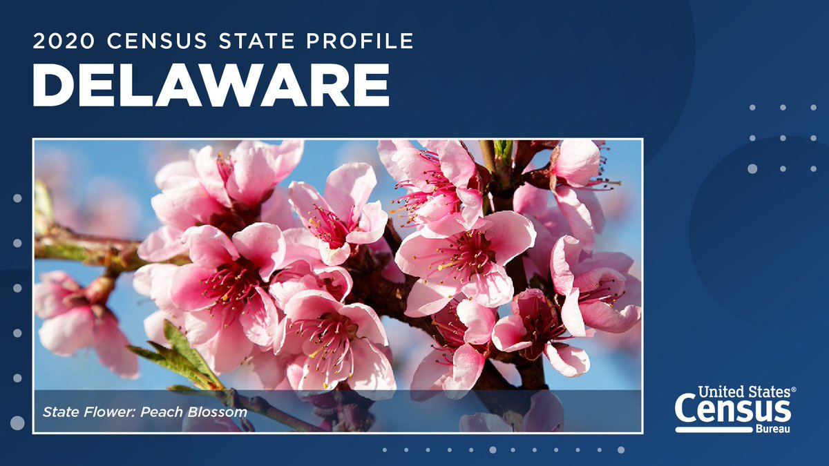 uscensusbureau's tweet photo. Today is the 235th anniversary of #Delawareโs statehood.
The population of #TheFirstState increased 10.2% to 989,948 from 2010 to 2020.
For more #2020Census insights on Delawareโs population, check out our #AmericaCounts state profile: https://t.co/pp9Yfo5Io7 https://t.co/IGU0biDosE