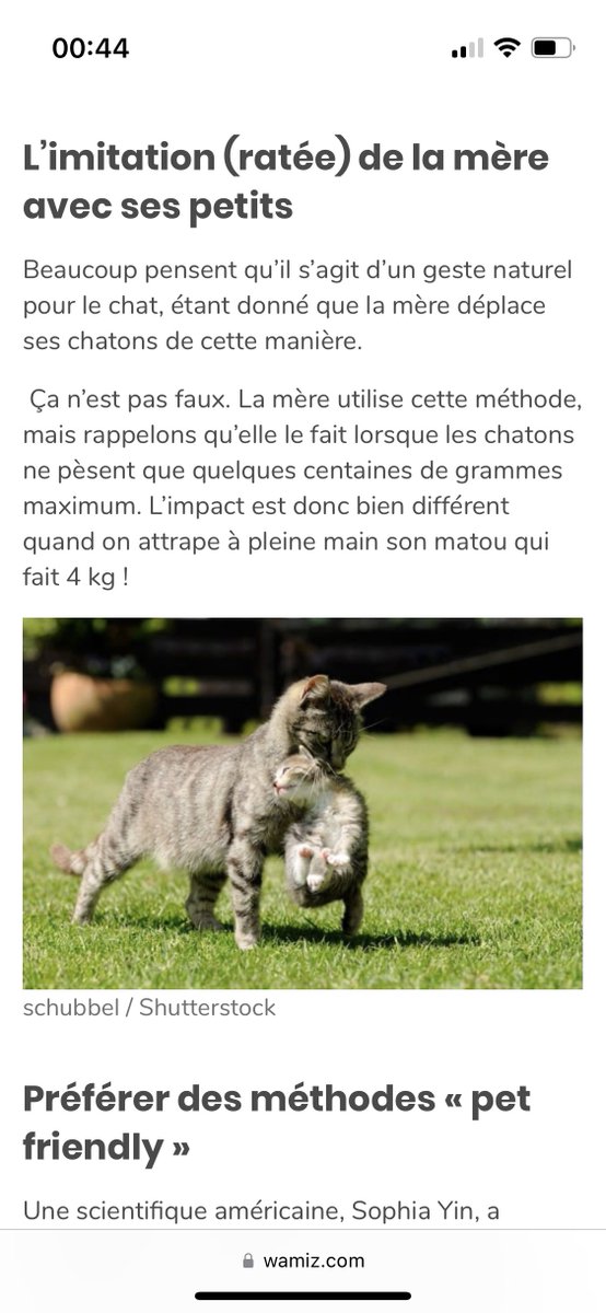 ermup's tweet photo. @ActuFoot_ @GoalBR Pour les trous du cul qui pensent avoir la science infuse prenez le temps (si vous savez lire) https://t.co/PkpAQieMUS
