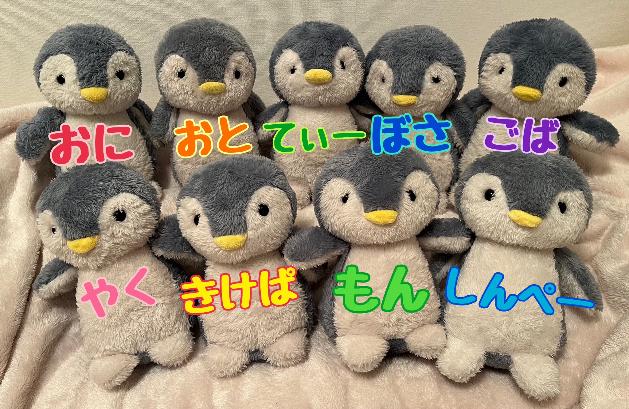 DAISO　ペンギンぬいぐるみ DAISO ペンギンぬいぐるみ Amazon.co.jp: ダイソー ペンギン 鳥