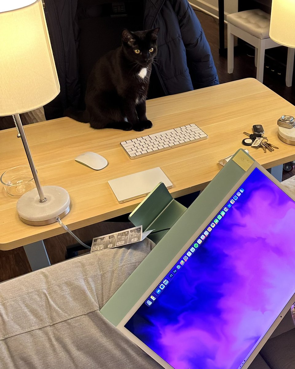 noahhermanyt's tweet photo. … https://t.co/txzcaqgyqE