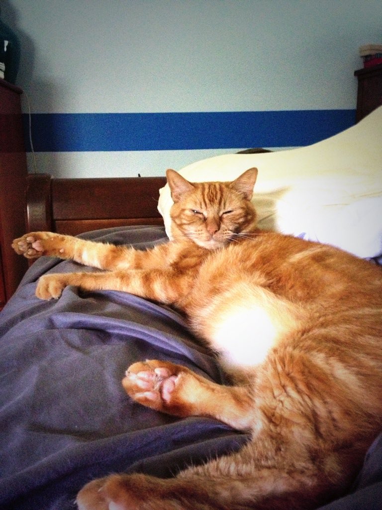 Kristin Herman tweet media