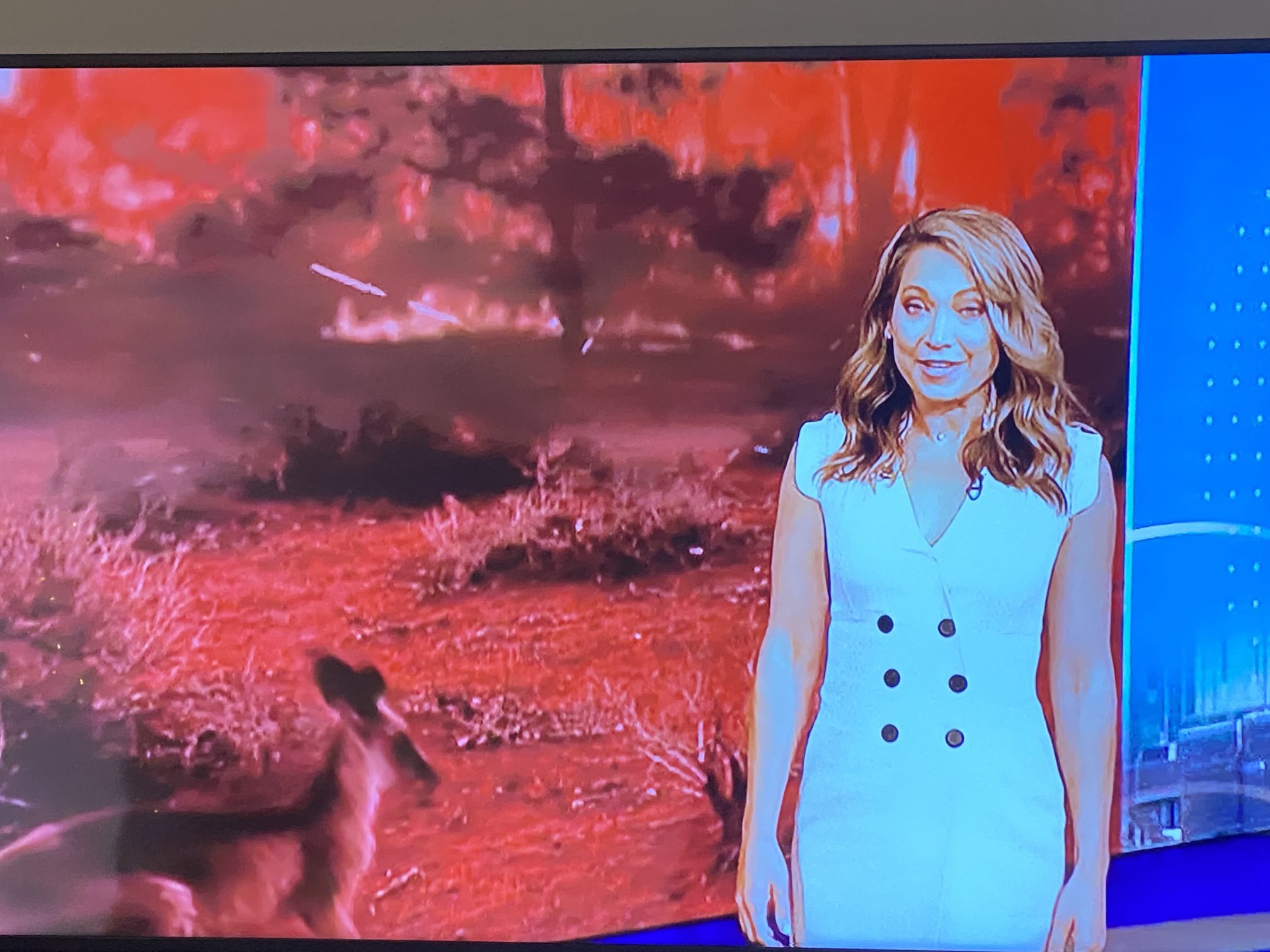 KickySalt on Twitter "Ginger on Jeopardy!!! What a treat! ⁦Ginger_Zee