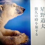 ツイートに含まれる画像