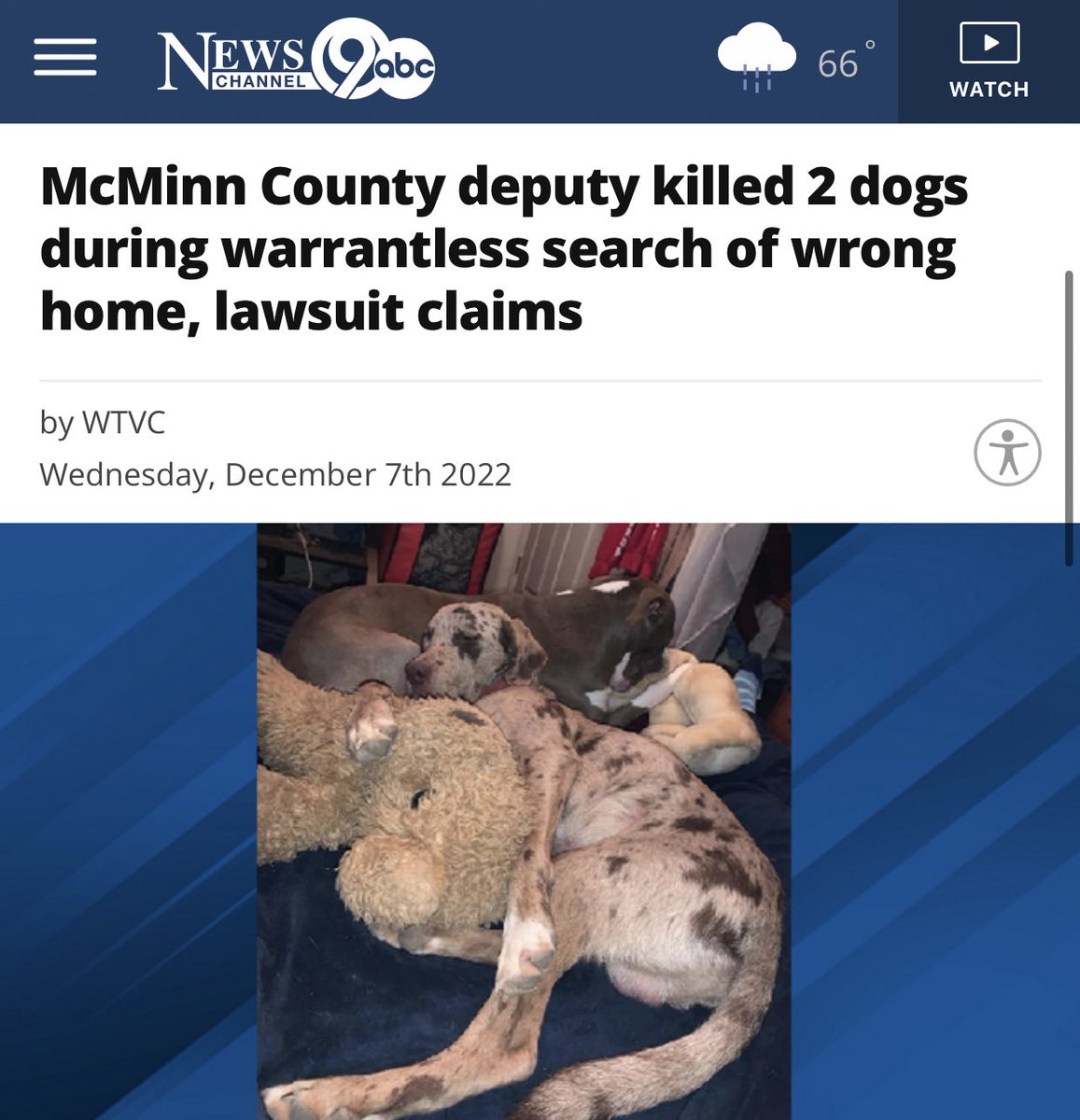 TheTNHoller's tweet photo. MCMINN COUNTY: FEDERAL LAWSUIT says @McMinnTNSheriff deputy Dalton Townsend killed 2 dogs (Milo &amp; Alladin) during a warrantless search of THE WRONG HOME — climbing in a family’s window at 4AM allegedly looking for a suspect😳

They’re suing for $1 MILLION https://t.co/H8VQjbfnL9 https://t.co/7sJXcXBHM3