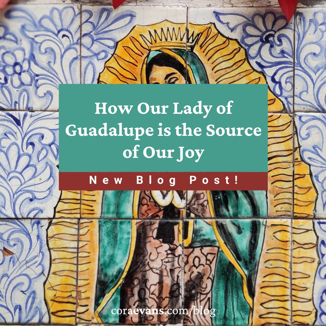Josh Florence invites us to make a spiritual pilgrimage to Our Lady of Guadalupe. Through our devotion, may we find the infant Lord wrapped safely in her arms.
coraevans.com/blog/article/o…
#OurLadyOfGuadalupe #Catholic #Prayer #JMJ #StJuanDiego #Advent2022 #Advent #LiturgicalLiving