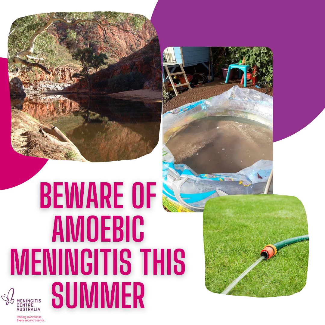 Meningitis Centre Australia (MCA) tweet media